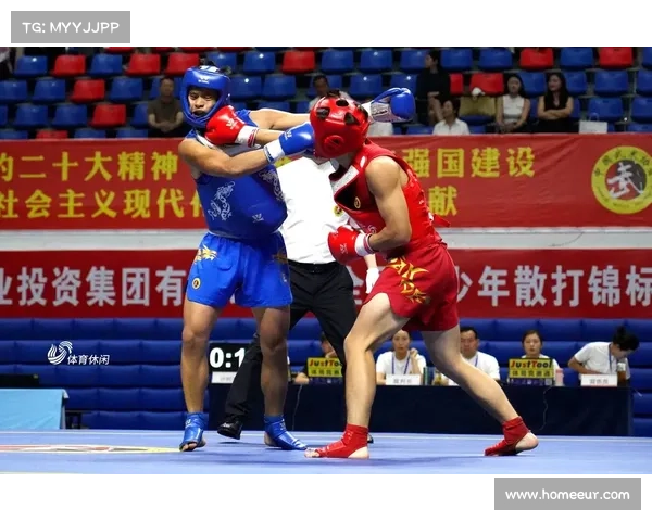 2015年全国武术散打冠军赛 2015年全国武术散打冠军赛